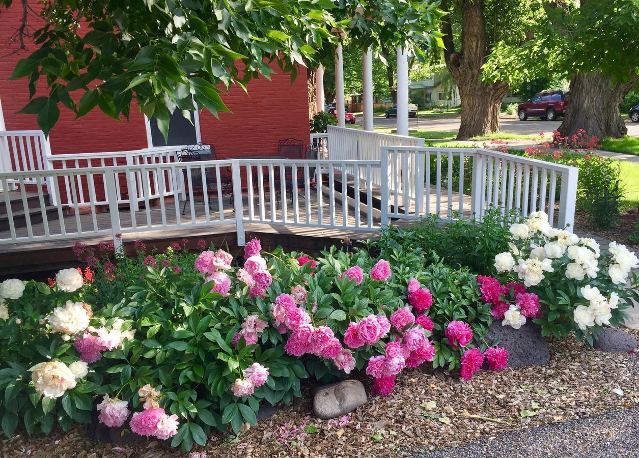 Bross Hotel B & B Paonia Zewnętrze zdjęcie